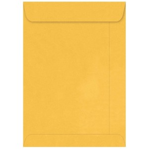 ENVELOPE SC OURO 110X170MMCX/250 SCRITY