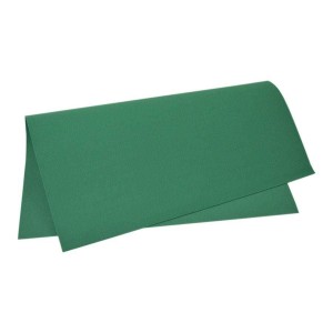 PLACA EM EVA 2MM 40X60CM LISO VERDE ESCU...
