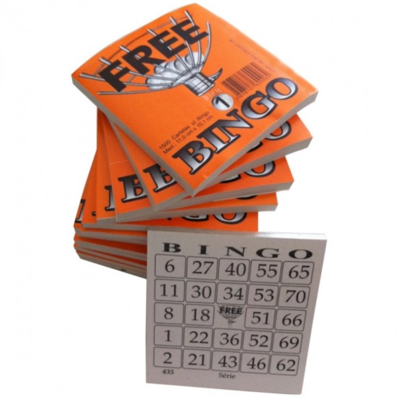 BLOCO DE BINGO FREE JORNAL 100FLS PE/15