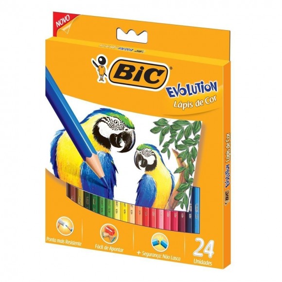 LAPIS DE COR BIC 24 CORES