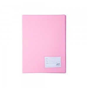 PASTA CATALOGO ACP OFICIO COM 20 ENVELOP...